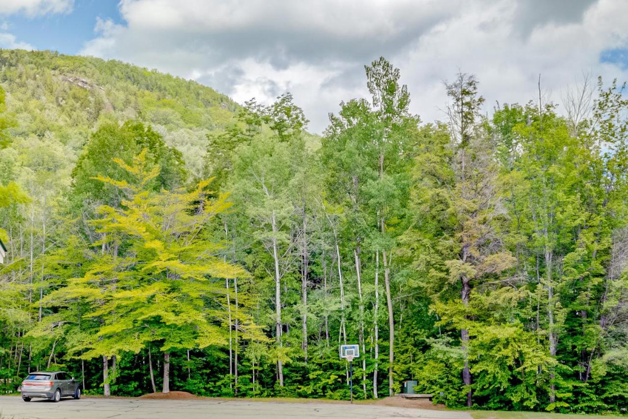 Appartamento White Mountain Retreat Lincoln Esterno foto